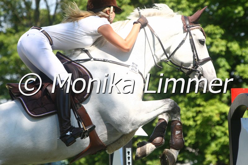 308M2230_Lerox_Spring Mxx.JPG